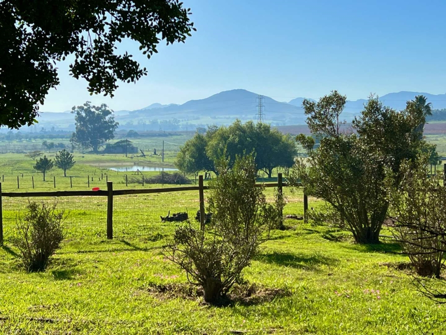 10 Bedroom Property for Sale in Koelenhof Western Cape